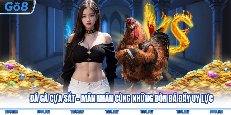 Đá gà cựa sắt