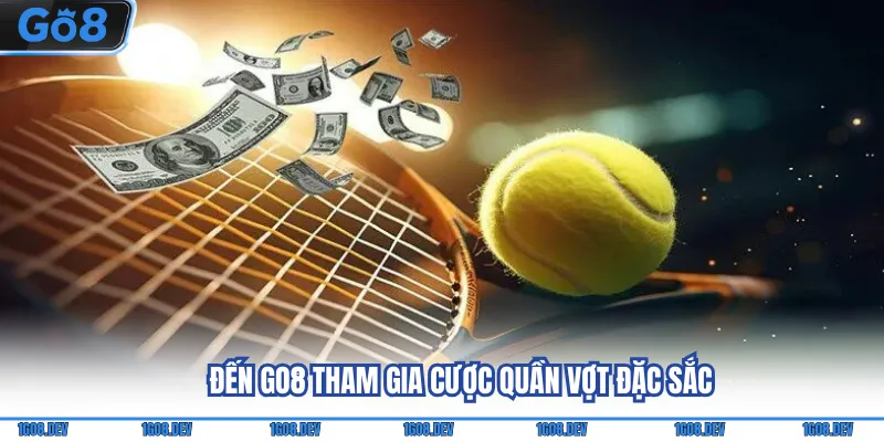 Đến Go8 tham gia cược quần vợt đặc sắc