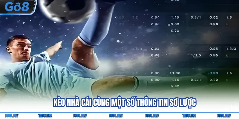 Kèo Nhà Cái - Trang Bị Kiến Thức & Tuyệt Chiêu Kiếm Tiền 2 Kèo nhà cái cùng một số thông tin sơ lược