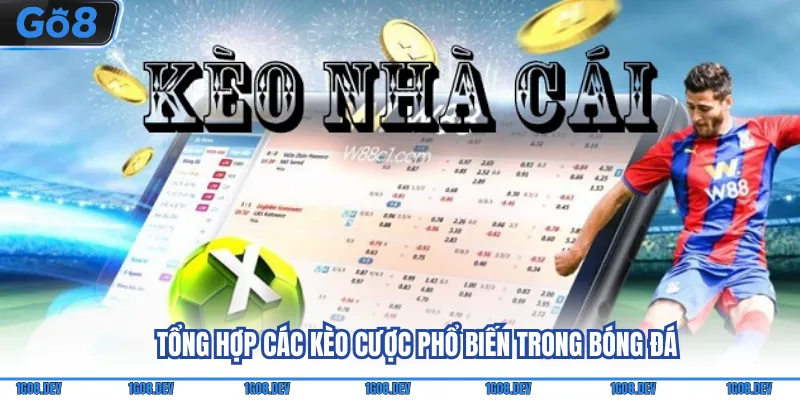 Tổng hợp các kèo cược phổ biến trong bóng đá