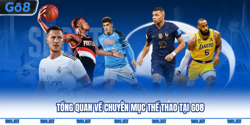Tổng quan về chuyên mục thể thao tại Go8